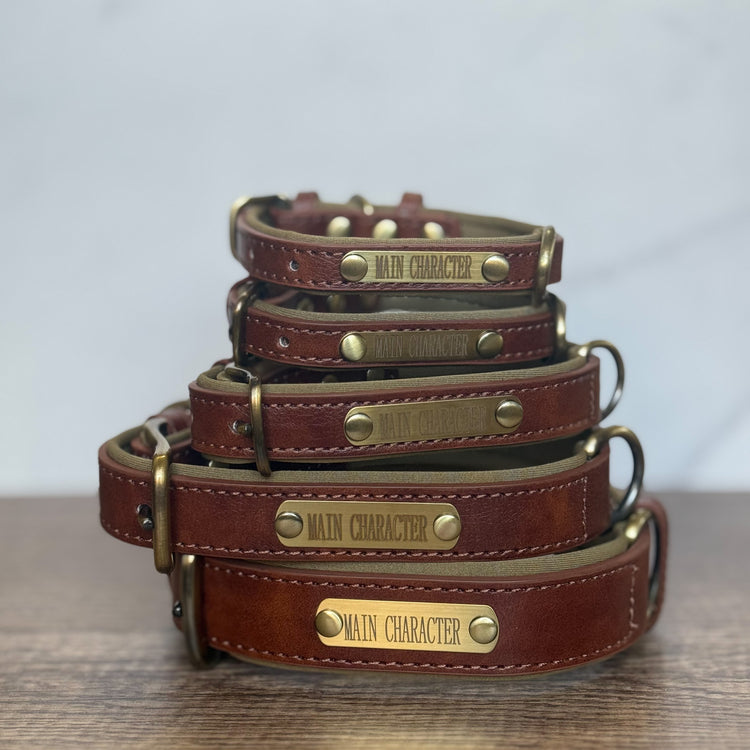 Leather Pet Collar