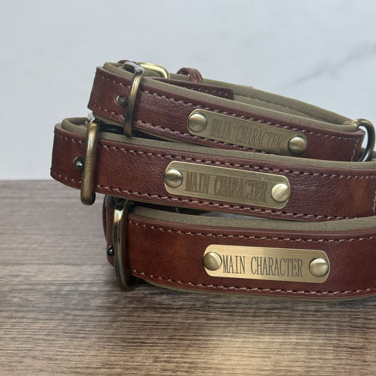 Leather Pet Collar